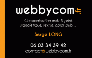 Cv Serge LONG